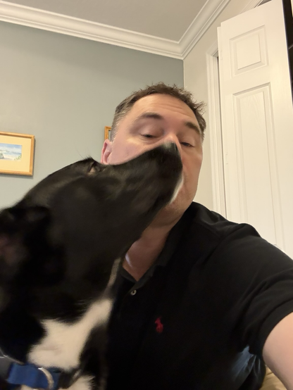 Waffles licking my face. 